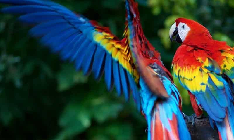 aut-voluptate-et-quo-natus-quia