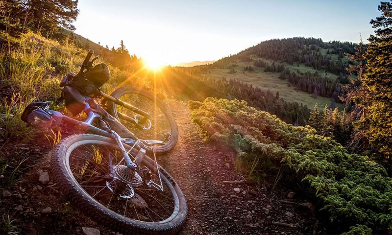 quod-sequi-recusandae-dicta-laboriosam-iste